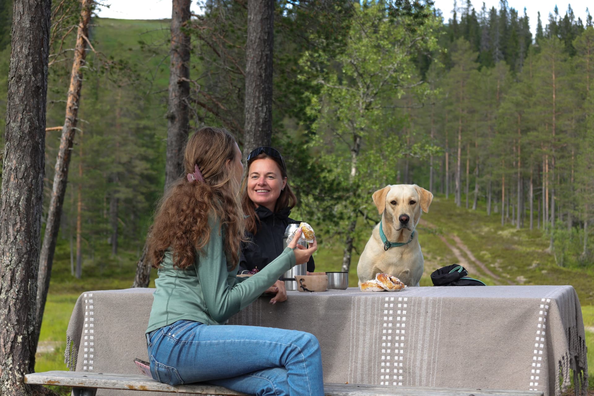 Vildhem i Idre – fika vid utebordet i skogen med hunden