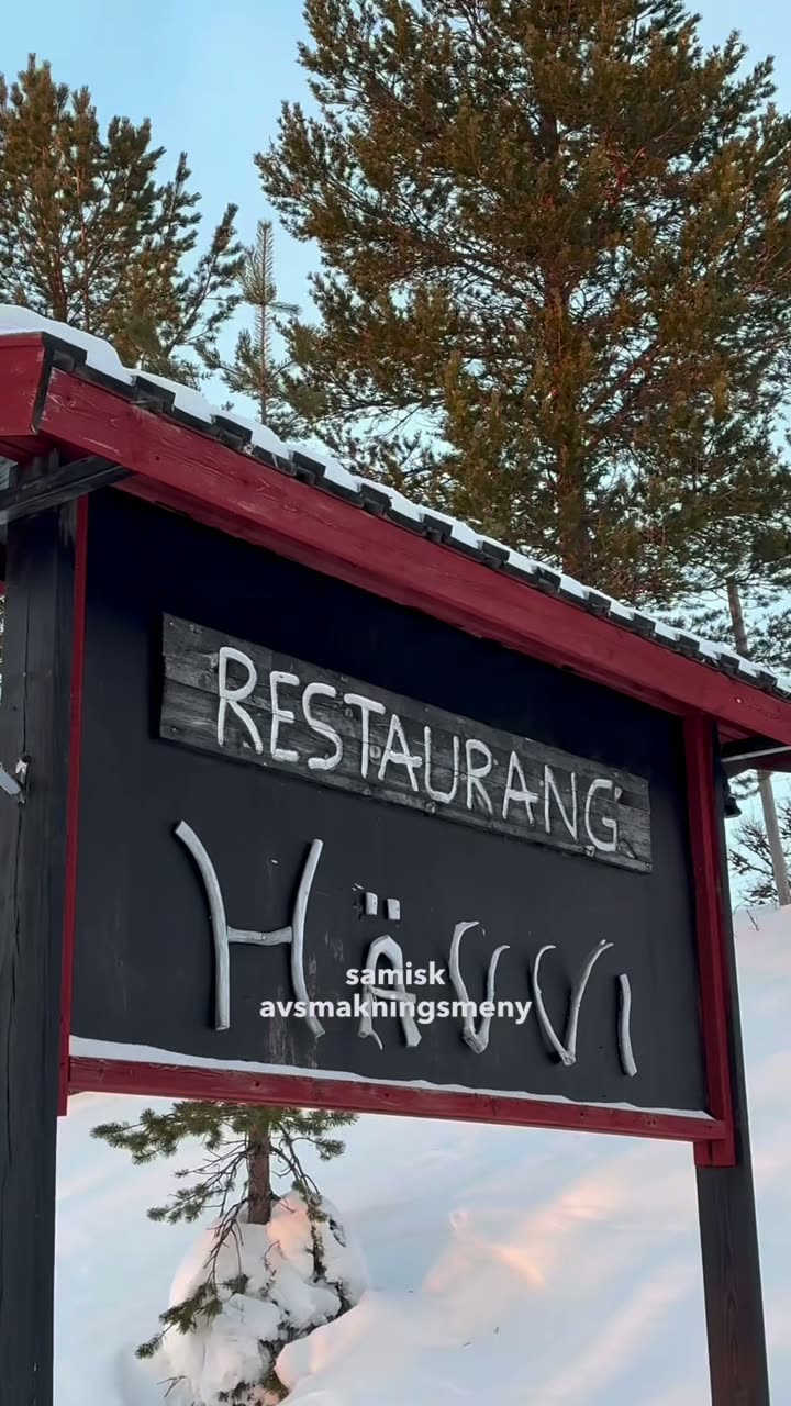 Hävvi i Glen — Samarbete · Instagram & TikTok