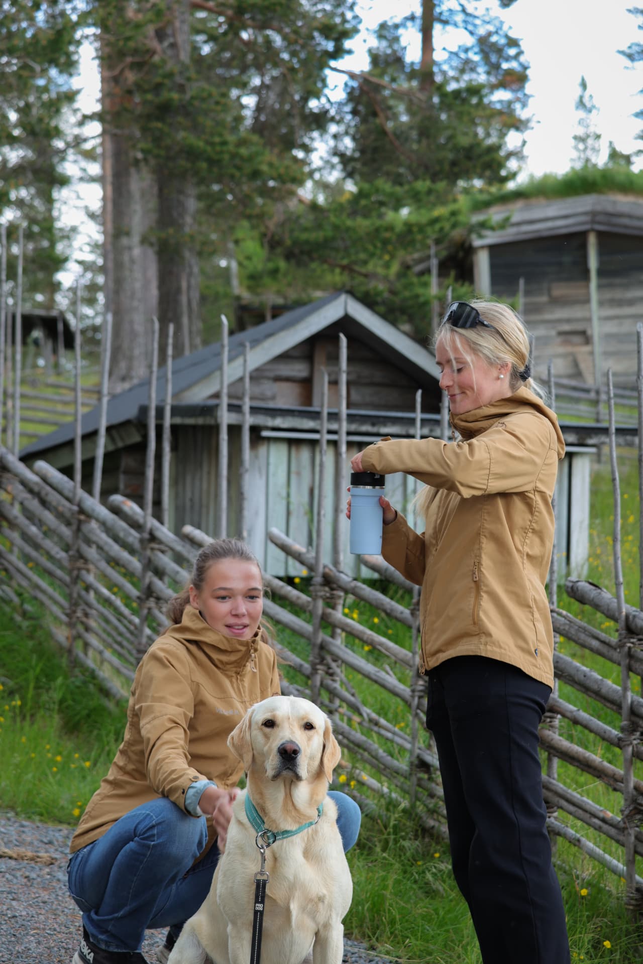 Vildhem i Idre – kaffepaus vid fäbodarna med labradoren